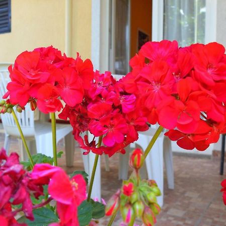 Apartment Girasole Rovinj Exterior photo
